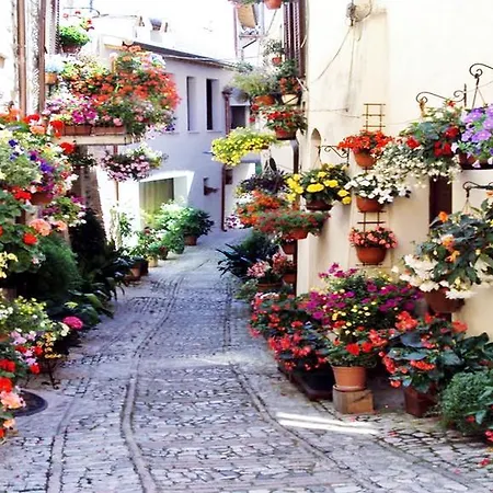 Ai Sei Archi בית כפרי *