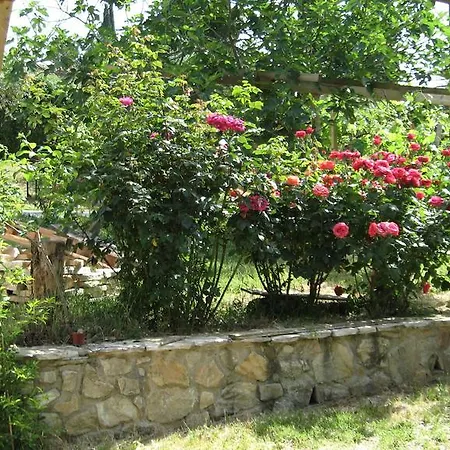 Ai Sei Archi בית כפרי פוליניו